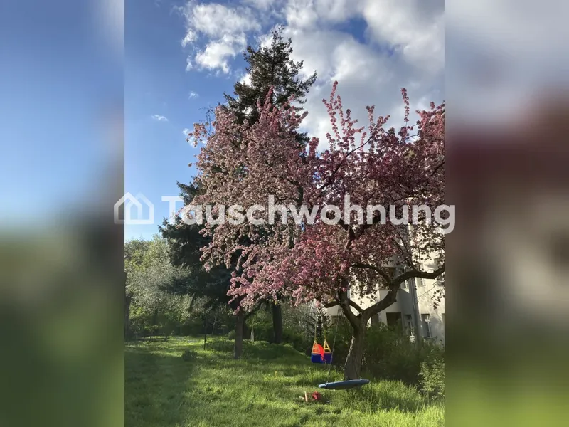 Tauschwohnung: Schöne 2,5 ZiWo gegen 3/4 ZiWo — photo 1